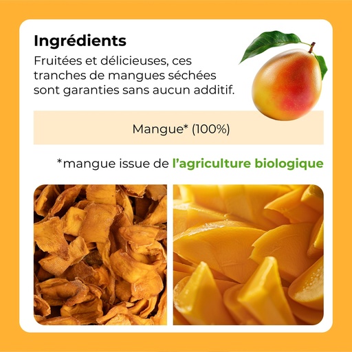 Mangues séchées bio